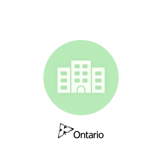 Ontario 公司年检.