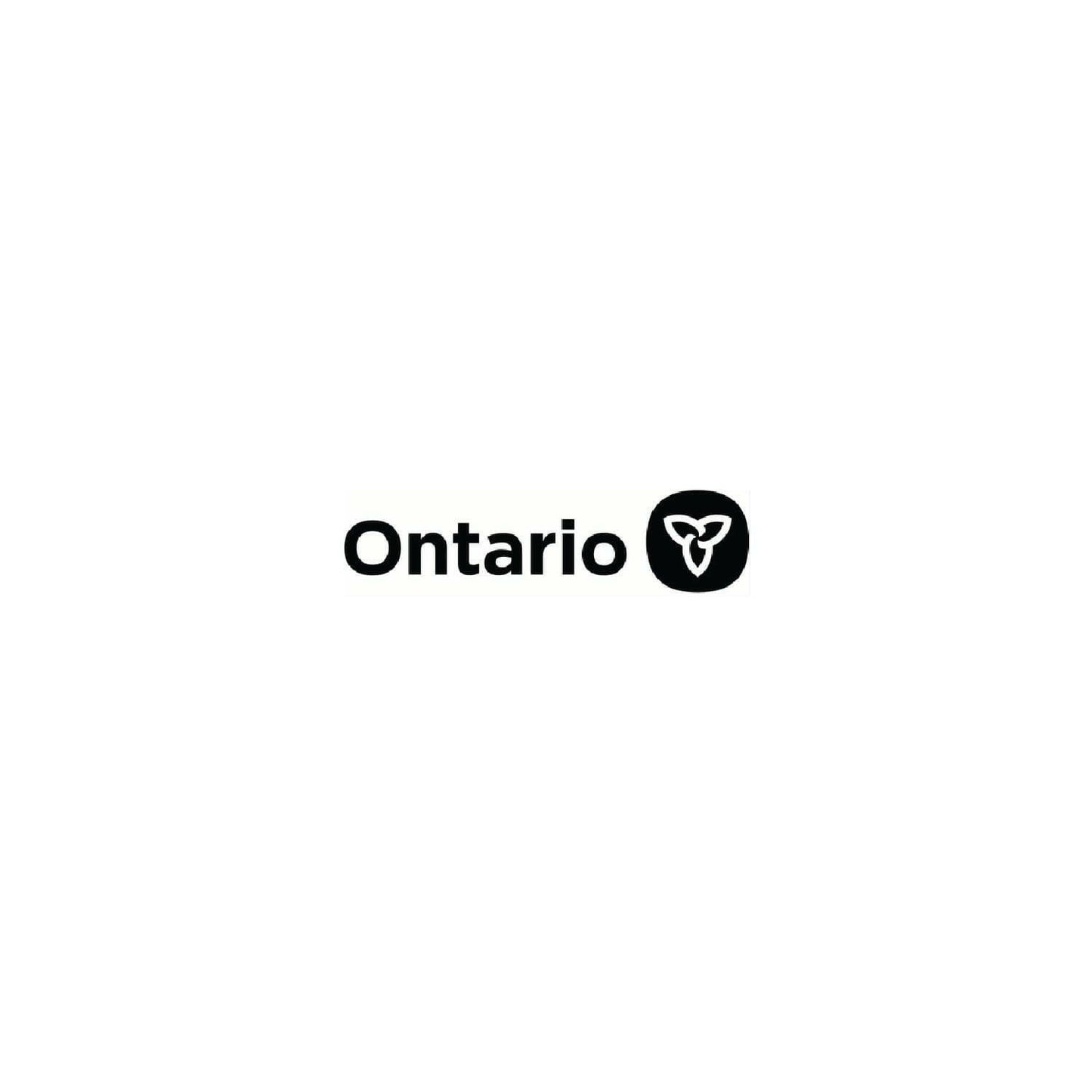 Ontario 有限责任公司注册.