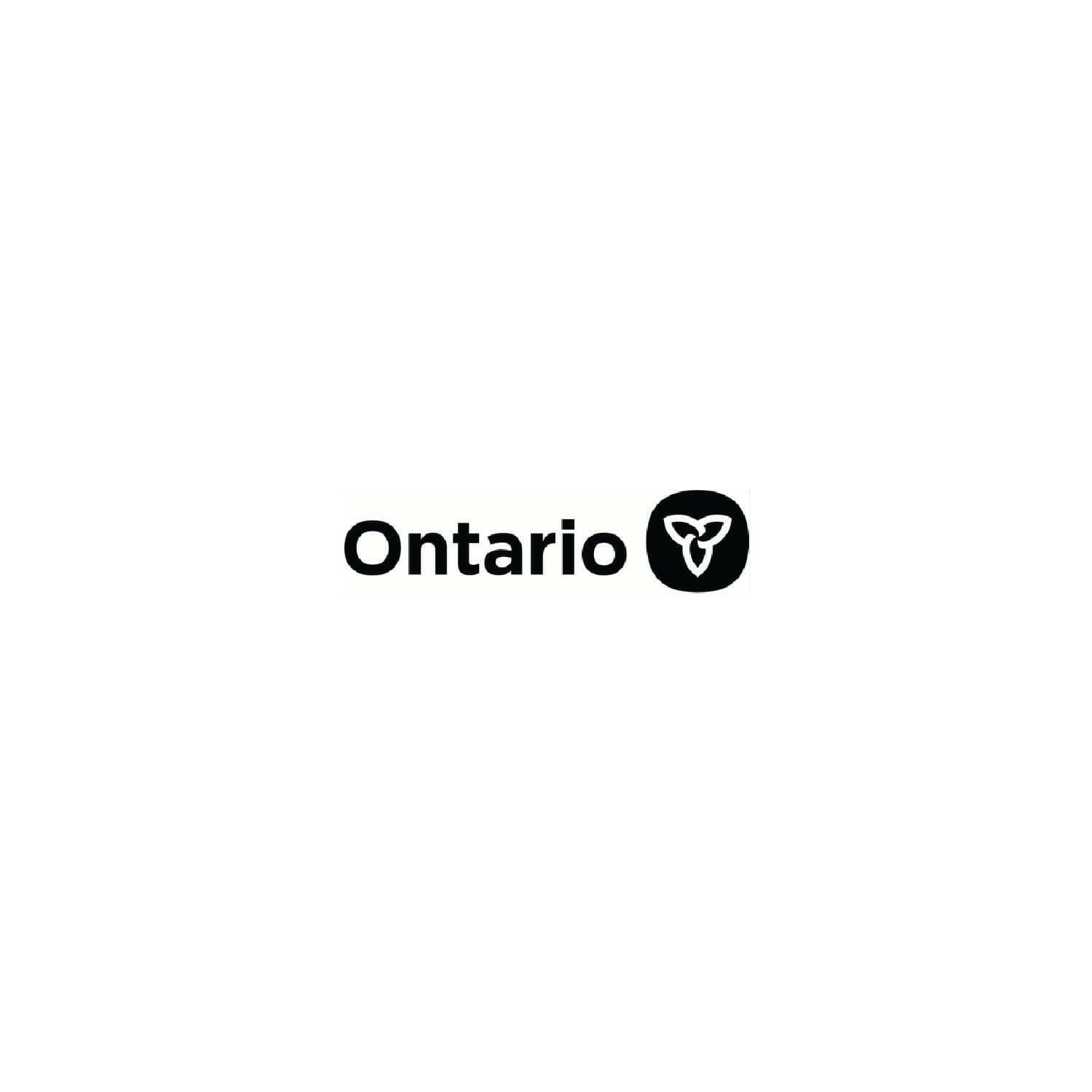 Ontario 有限责任公司注册.