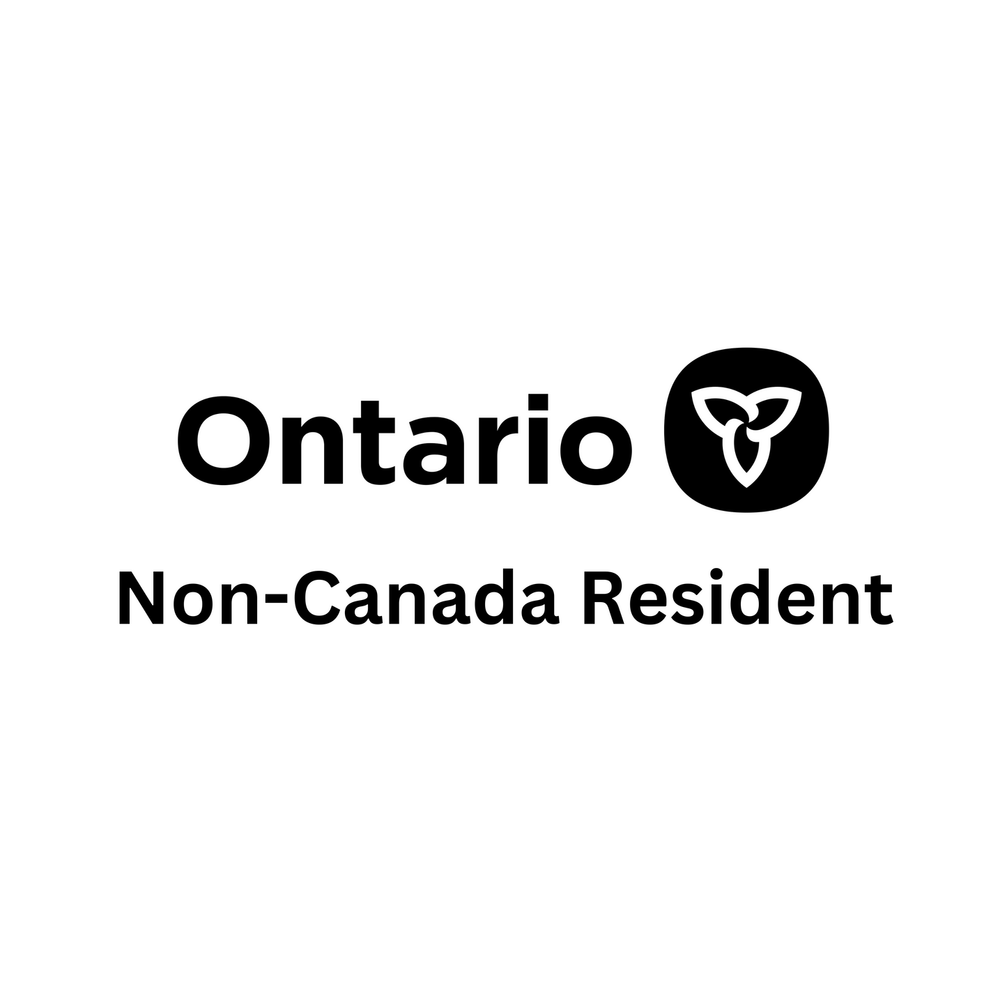 非加拿大居民Ontario公司注册.