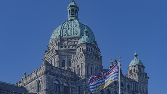 卑诗省（BC）市政空置税（SVT）