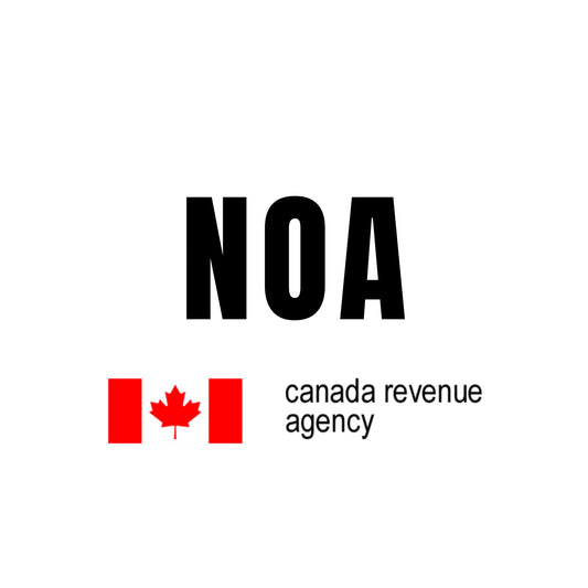 T1年度评估通知（NOA）副本申请服务